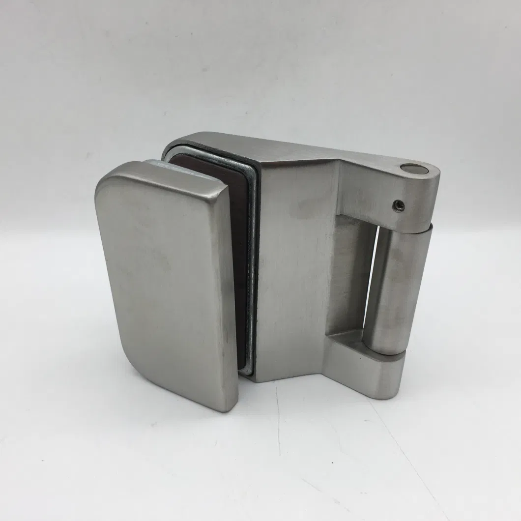 European Stainless Steel Ss Finish Commercial Office Glass Door Hinge